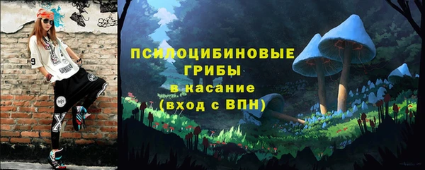 МДПВ Алзамай